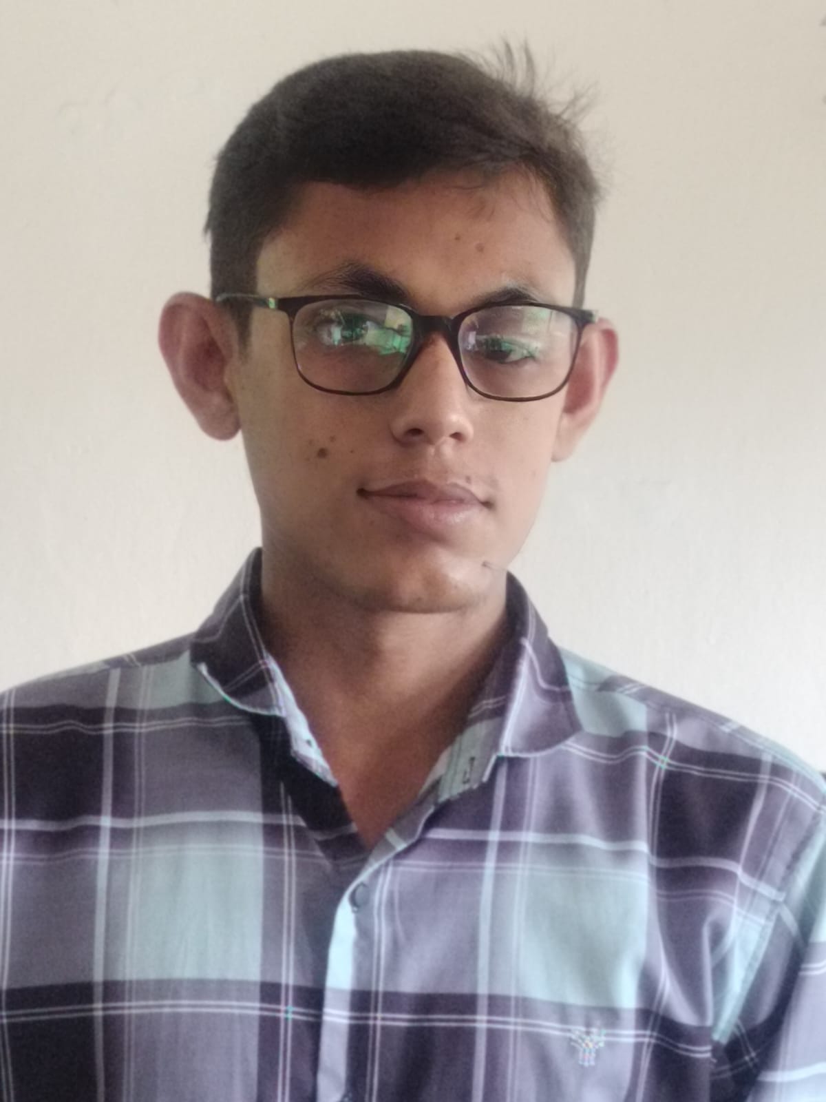 মো:মেহেদী হাসান